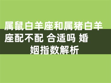 属鼠白羊座和属猪白羊座配不配 合适吗 婚姻指数解析