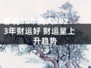 都说86年虎人2023年财运好 财运呈上升趋势