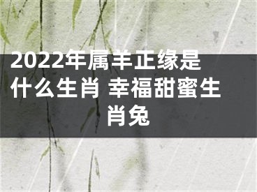 2022年属羊正缘是什么生肖 幸福甜蜜生肖兔