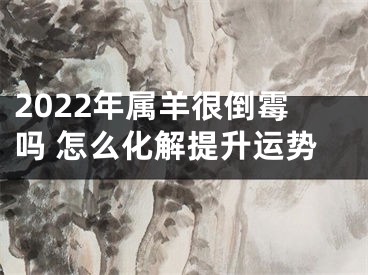 2022年属羊很倒霉吗 怎么化解提升运势