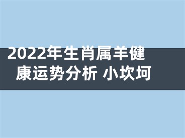 2022年生肖属羊健康运势分析 小坎坷