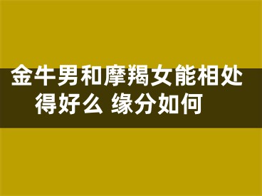 金牛男和摩羯女能相处得好么 缘分如何