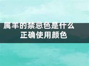 属羊的禁忌色是什么 正确使用颜色