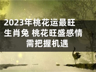 2023年桃花运最旺生肖兔 桃花旺盛感情需把握机遇