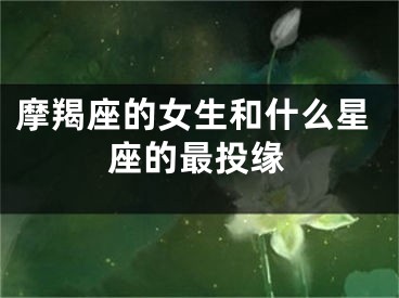 摩羯座的女生和什么星座的最投缘