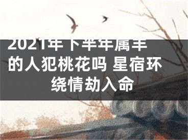 2021年下半年属羊的人犯桃花吗 星宿环绕情劫入命