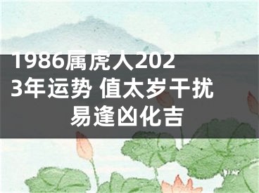 1986属虎人2023年运势 值太岁干扰易逢凶化吉