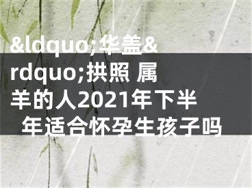 &ldquo;华盖&rdquo;拱照 属羊的人2021年下半年适合怀孕生孩子吗