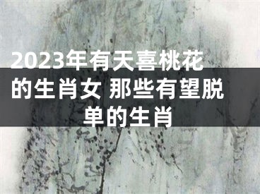 2023年有天喜桃花的生肖女 那些有望脱单的生肖