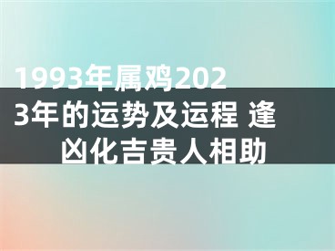 1993年属鸡2023年的运势及运程 逢凶化吉贵人相助