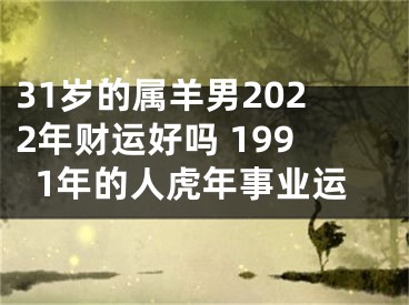 31岁的属羊男2022年财运好吗 1991年的人虎年事业运