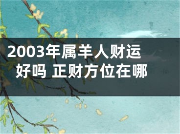 2003年属羊人财运好吗 正财方位在哪