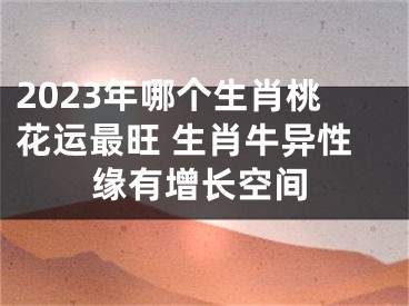 2023年哪个生肖桃花运最旺 生肖牛异性缘有增长空间