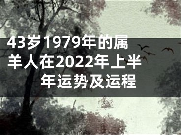 43岁1979年的属羊人在2022年上半年运势及运程