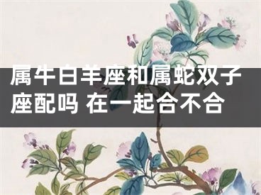 属牛白羊座和属蛇双子座配吗 在一起合不合