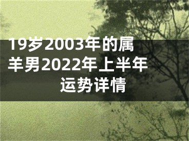 19岁2003年的属羊男2022年上半年运势详情