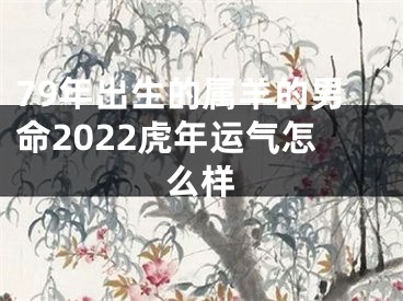 79年出生的属羊的男命2022虎年运气怎么样