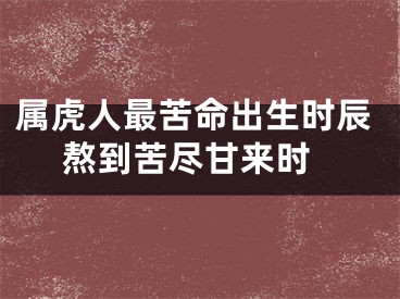 属虎人最苦命出生时辰 熬到苦尽甘来时