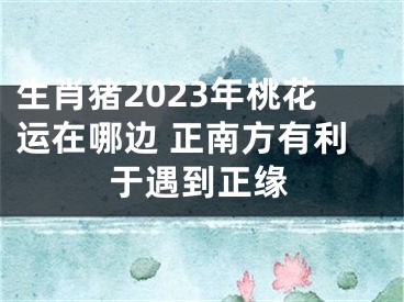 生肖猪2023年桃花运在哪边 正南方有利于遇到正缘