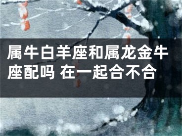 属牛白羊座和属龙金牛座配吗 在一起合不合