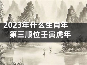 2023年什么生肖年 第三顺位壬寅虎年