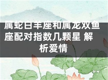 属蛇白羊座和属龙双鱼座配对指数几颗星 解析爱情