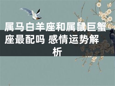 属马白羊座和属鼠巨蟹座最配吗 感情运势解析