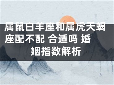 属鼠白羊座和属虎天蝎座配不配 合适吗 婚姻指数解析