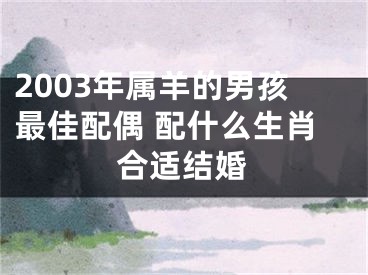 2003年属羊的男孩最佳配偶 配什么生肖合适结婚