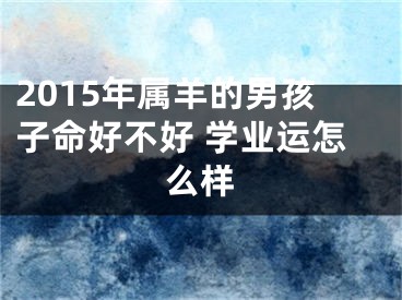 2015年属羊的男孩子命好不好 学业运怎么样