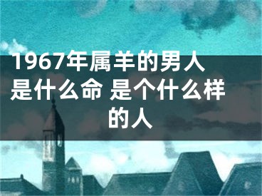 1967年属羊的男人是什么命 是个什么样的人