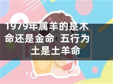 1979年属羊的是木命还是金命  五行为土是土羊命