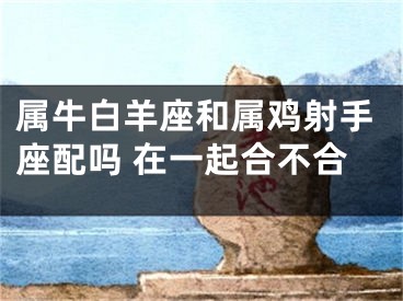 属牛白羊座和属鸡射手座配吗 在一起合不合