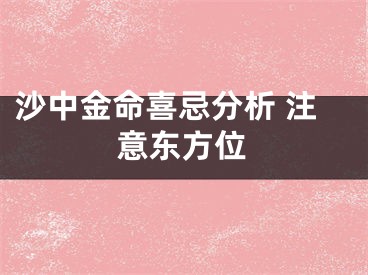 沙中金命喜忌分析 注意东方位