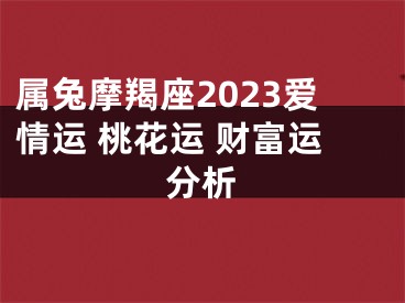 属兔摩羯座2023爱情运 桃花运 财富运分析