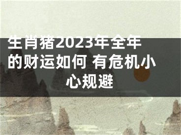 生肖猪2023年全年的财运如何 有危机小心规避