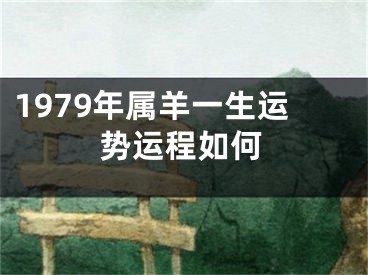 1979年属羊一生运势运程如何