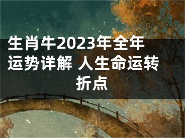 生肖牛2023年全年运势详解 人生命运转折点