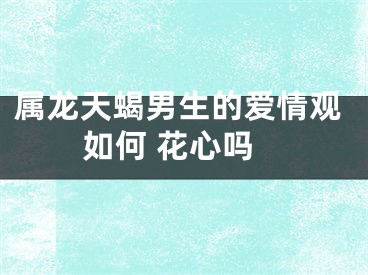 属龙天蝎男生的爱情观如何 花心吗