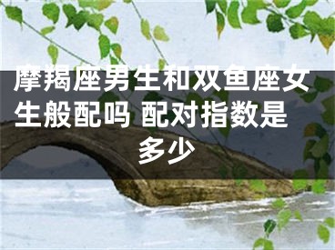 摩羯座男生和双鱼座女生般配吗 配对指数是多少