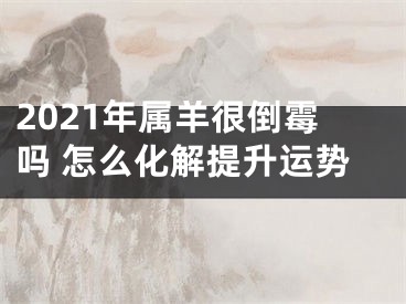 2021年属羊很倒霉吗 怎么化解提升运势