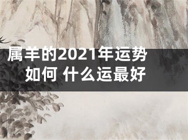 属羊的2021年运势如何 什么运最好