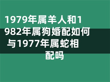 1979年属羊人和1982年属狗婚配如何 与1977年属蛇相配吗