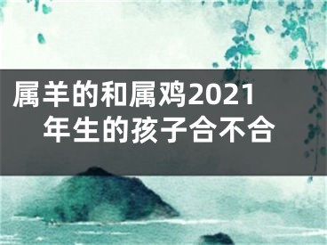 属羊的和属鸡2021年生的孩子合不合