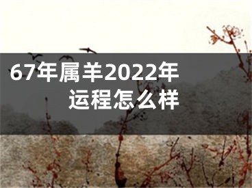 67年属羊2022年运程怎么样