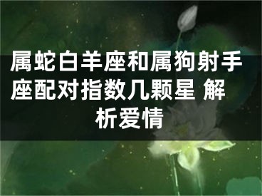 属蛇白羊座和属狗射手座配对指数几颗星 解析爱情