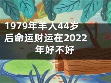 1979年羊人44岁后命运财运在2022年好不好