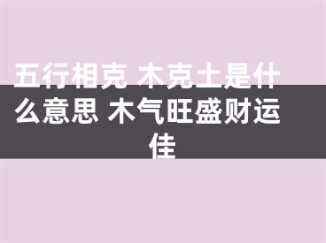 五行相克 木克土是什么意思 木气旺盛财运佳