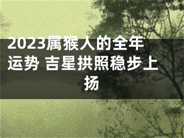 2023属猴人的全年运势 吉星拱照稳步上扬