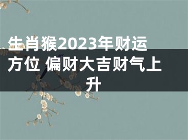 生肖猴2023年财运方位 偏财大吉财气上升